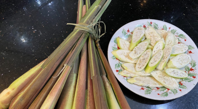 “Wild root vegetable now turns into a delicacy known as ‘water ginseng’, cooking it this way is delicious”