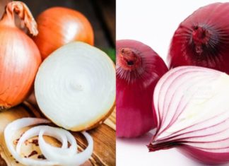 White Onion vs Purple Onion: Which One Should You Choose?
