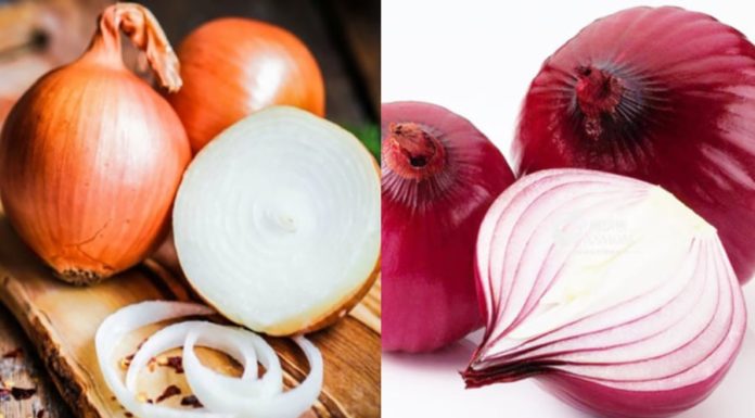 White Onion vs Purple Onion: Which One Should You Choose?