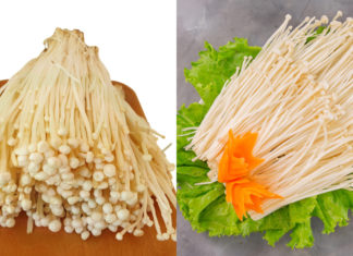 The only vegetable containing vitamin D, delicious and nutritious