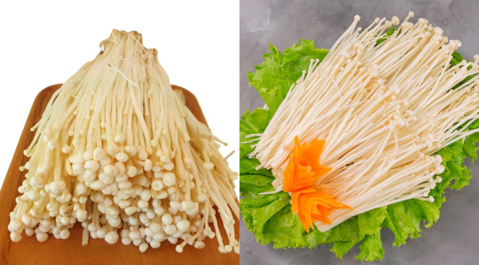 The only vegetable containing vitamin D, delicious and nutritious