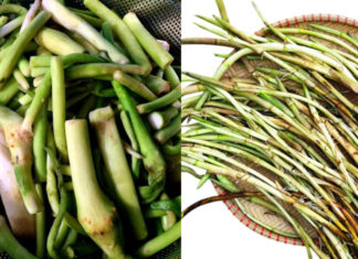 Mud-grown plant, once only consumed by pigs, now sells for 70,000 VND/kg but not readily available for purchase