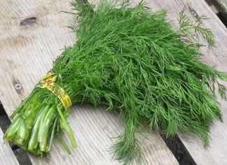 Superfood Vegetable: A Delicious and Nutritious Dish With Eggs