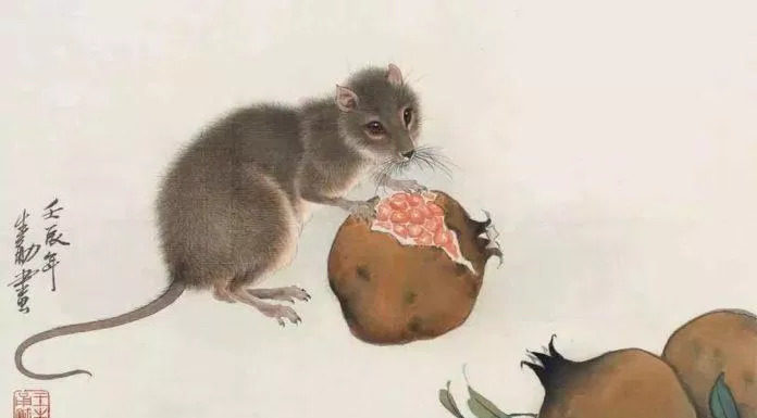 Fortunes of the Zodiac Signs in Late September: 4 Lucky Chinese Zodiac Animals Shine in Wealth, Love, and Fame