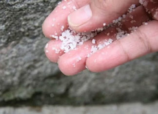 The Surprising Reason Why Many People Sprinkle Salt Around Their House