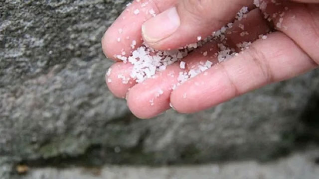 The Surprising Reason Why Many People Sprinkle Salt Around Their House