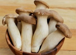 Mushroom Variety Known as “Sea Cucumber” Abundantly Sold in Market, High in Protein, Delicious when Stir-Fried