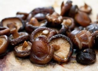 Mushroom Variety Sold in Vietnamese Markets Considered Superfood by Japanese, Worth the Investment for Countless Benefits