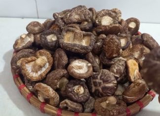 The “King of Vegetables” – A Food Sold Exclusively at Markets, Often Overlooked by Many Passersby.