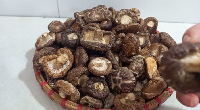 The “King of Vegetables” – A Food Sold Exclusively at Markets, Often Overlooked by Many Passersby.