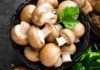 Type of mushroom with higher protein content than beef, selling for less than 30,000 VND/kg