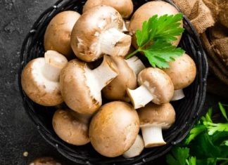 Type of mushroom with higher protein content than beef, selling for less than 30,000 VND/kg
