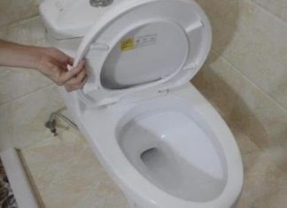 Should you close or leave the toilet lid open after using the restroom? Simple but 99% get it wrong