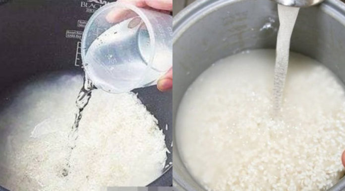 Cooking rice with cold or hot water? The secret to delicious and nutritious fluffy rice lies in using the right type of water