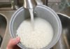 The Case of Rice and 9 Mistakes That Can Damage Your New Rice Cooker