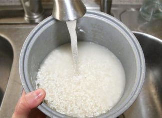 The Case of Rice and 9 Mistakes That Can Damage Your New Rice Cooker