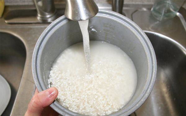 The Case of Rice and 9 Mistakes That Can Damage Your New Rice Cooker