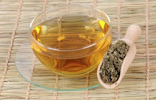 4 Amazing Benefits of Dried Mullein – Everyone Should Know