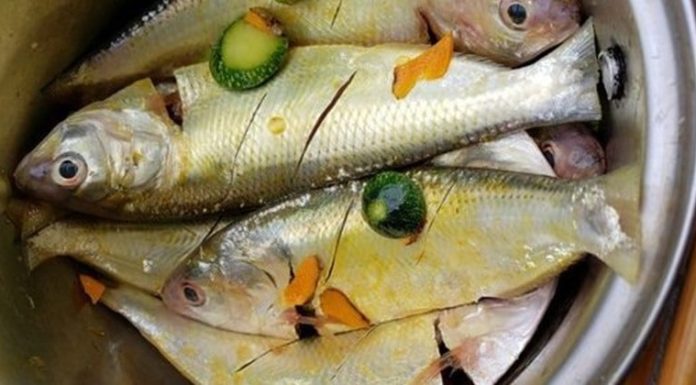 Soak your fish in this water: Fish will be free of fishy smell, sweet-smelling and firm-fleshed