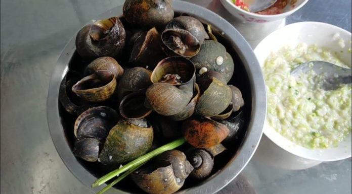 Soak your snails with this: Snails release all the slime, boiled to a more creamy texture