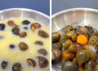 “The fascinating story behind Hanoi locals’ nickname for October’s snails and mouth-watering home recipes”