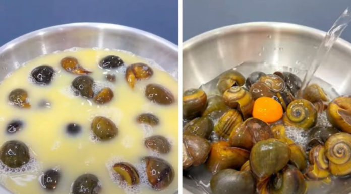 “The fascinating story behind Hanoi locals’ nickname for October’s snails and mouth-watering home recipes”