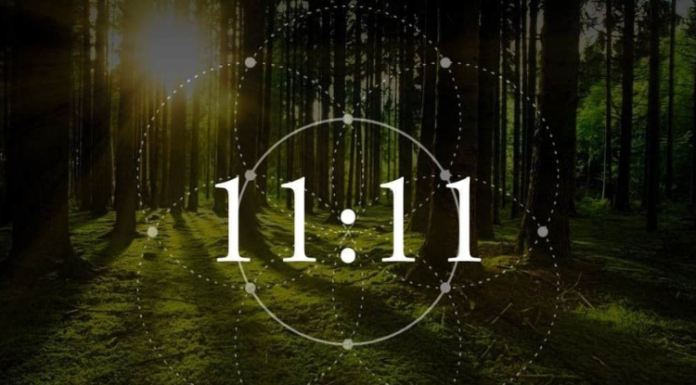 What is November 11th? The true meaning and origin of November 11th every year.