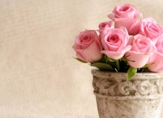 Lucky Lady Born on Lunar New Year Prospers like Welcoming the God of Wealth, Blessed with Wealth and Fortune