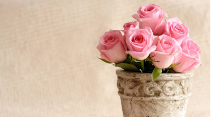 Lucky Lady Born on Lunar New Year Prospers like Welcoming the God of Wealth, Blessed with Wealth and Fortune