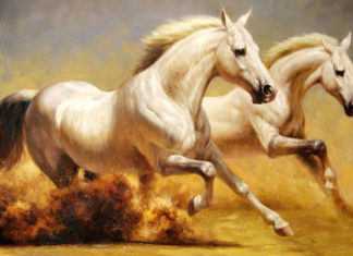 “Prosperity’s Horizon: Opportunities Abound in the Water Snake Year of 2024”