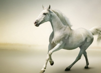 The Overflowing Wealth Trove: 3 Years Young, a Budding Billionaire’s Journey. A Tale of Abundant Finances, Even for the Toddler at Play.