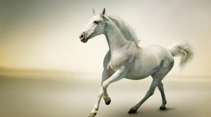 The Overflowing Wealth Trove: 3 Years Young, a Budding Billionaire’s Journey. A Tale of Abundant Finances, Even for the Toddler at Play.