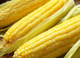 Don’t eat rice or instant noodles for breakfast: A meal that is rich in calcium, more protein than regular rice and often overlooked.