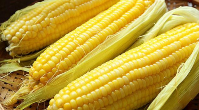 Don’t eat rice or instant noodles for breakfast: A meal that is rich in calcium, more protein than regular rice and often overlooked.