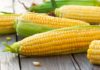 Simple Grilled Butter and Onion Corn Recipe – Ready in Minutes to Warm Up Your Winter Blues