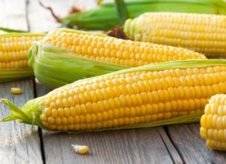 Simple Grilled Butter and Onion Corn Recipe – Ready in Minutes to Warm Up Your Winter Blues