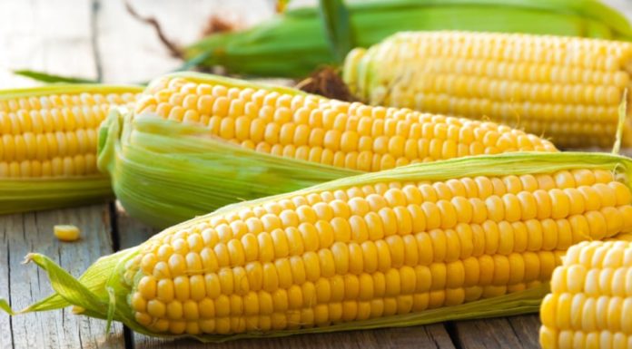 Simple Grilled Butter and Onion Corn Recipe – Ready in Minutes to Warm Up Your Winter Blues