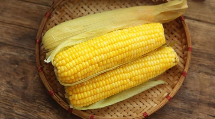 Cooking Corn to Perfection: The Secret Ingredient for Flavorful and Sweet Corn