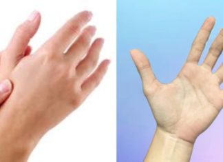 Palm Reading Trick Reveals Wealth and Poverty Better Than Facial Recognition