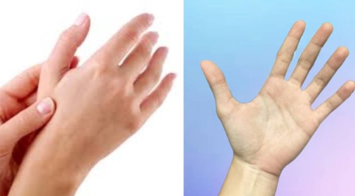 Palm Reading Trick Reveals Wealth and Poverty Better Than Facial Recognition