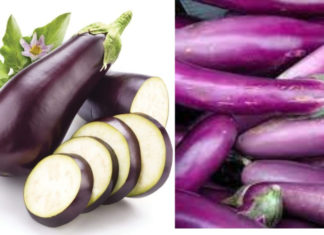 Grilled Eggplant with Garlic and Olive Oil Using an Air Fryer or Skillet – Delicious and Nutritious