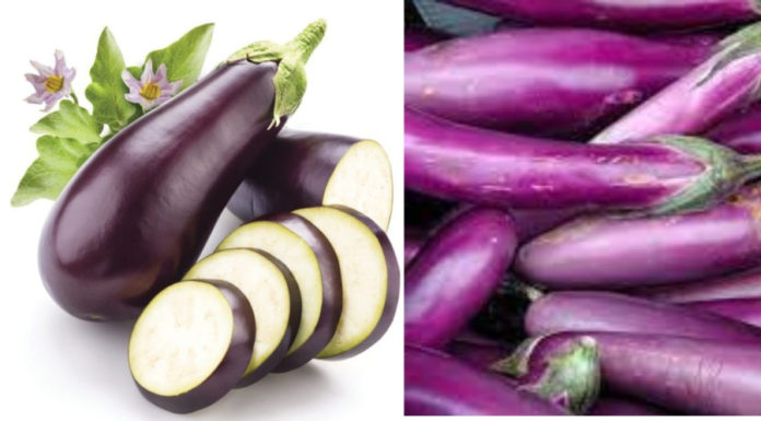 Grilled Eggplant with Garlic and Olive Oil Using an Air Fryer or Skillet – Delicious and Nutritious