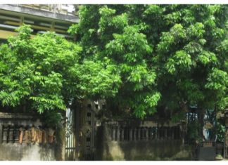 The Bigger, The Faster: These Three Things Will Collapse and Disintegrate Inside the House