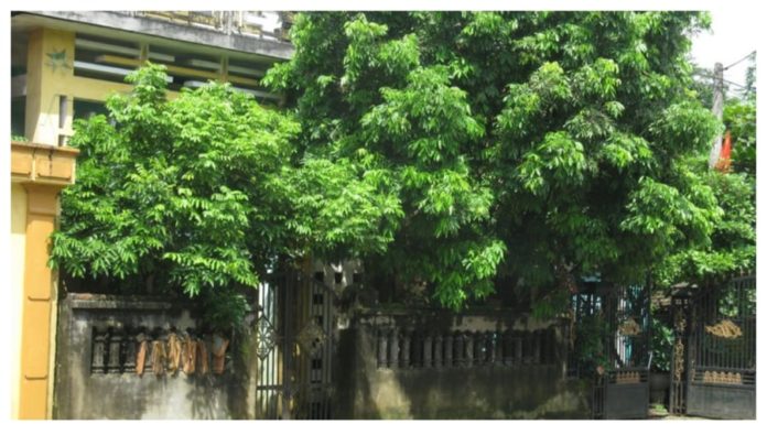 The Bigger, The Faster: These Three Things Will Collapse and Disintegrate Inside the House