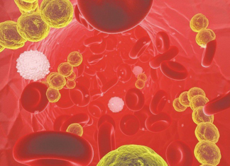 Start Your Day with Health News: Harmful Habits When Using the Restroom