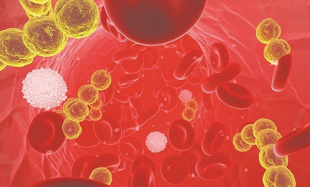 Start Your Day with Health News: Harmful Habits When Using the Restroom