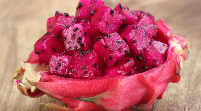 The Captivating Crimson Dragon: A Culinary Conundrum