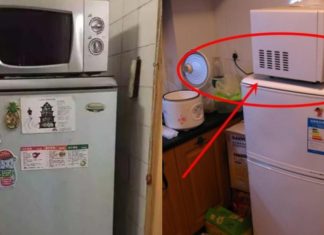 Business Failure: Empty Pockets, No Wings, Check Your Fridge for These 3 Things