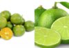 Can I Drink Lime Water Instead of Lemon Water?