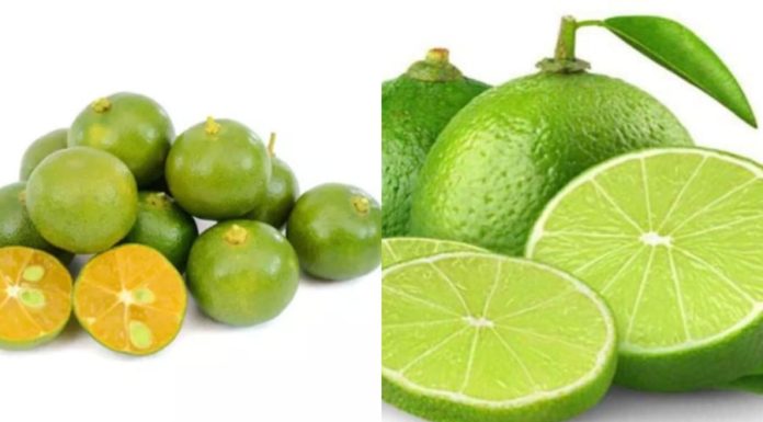 Can I Drink Lime Water Instead of Lemon Water?